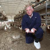 Kampf gegen die Milbe im Stall