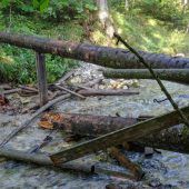 Holzbrücke stürzt ein: Jugendliche verletzt