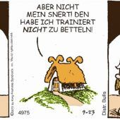 Hägar der Schreckliche