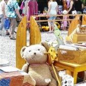 Teddy sucht neues Zuhause