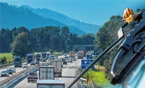 Auch Schnecken lieben „Bella Italia“