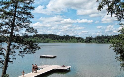 Der Hartsee ist zum Großteil von Wald umgeben. Foto  Tourist-Information Eggstätt
