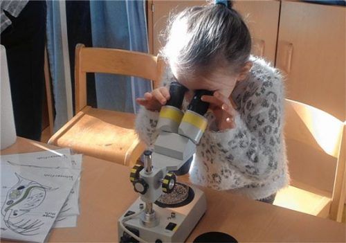 Der Workshop „Mikroskopieren“ nimmt die natürliche Neugier vieler Kinder auf und fördert deren Forschergeist. Unter dem Mikroskop beobachtet ein Mädchen, das den Kindergarten Löwenzahn besucht, minutenlang einen Wasserfloh. Foto re