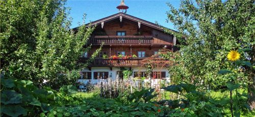 Eingewachsen ist das wunderschöne Bauernhaus – rundherum sorgen viele Pflanzen und außergewöhnliche Accessoires für ein besonderes Flair. Fotos Hoffmann