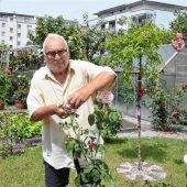 Verliebt in „kratzbürstige Diven“