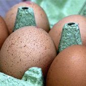 Schuld nicht dem Verbraucher zuschieben