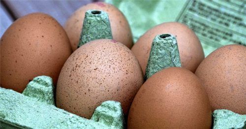 In Belgien hat der aktuelle Lebensmittelskandal um verseuchte Eier seinen Ursprung. Foto dpa