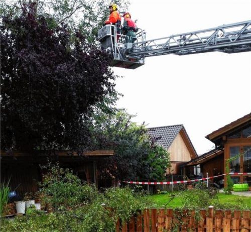 Lebensgefahr auf Naturlehrpfad