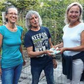 Raben finden neues Zuhause
