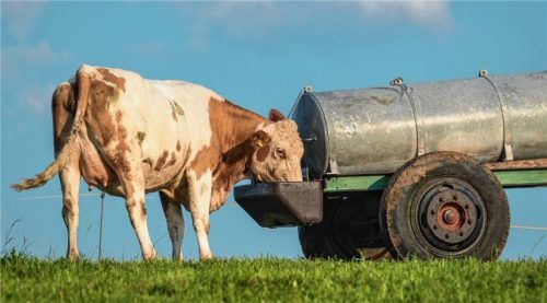 Wasser für den großen Durst