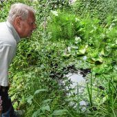 „Ein Teich gehört in jeden Garten“
