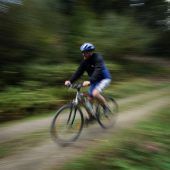 Radeln im Wald: Streit um Verbot