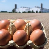 Bayern-Ei: Viele offene Fragen