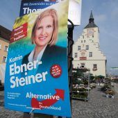 Die AfD – ein Fall für die Schule