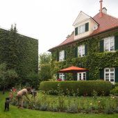 Grüne Oase in Gefahr