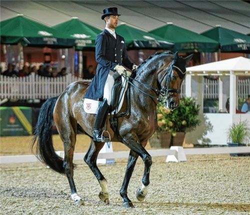 Benjamin Werndl vom RFV Aubenhausen mit Der Hit siegte beim Großen Preis.Foto Weitz