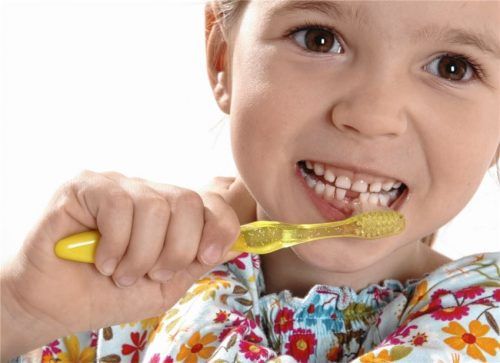 Bereits mit dem Durchbruch der ersten Zähne kommt die erste Kinderzahnbürste zum Einsatz. Eltern sollten darauf achten, dass die Borsten weich sind und sich für das Putzen der Zähne Zeit nehmen. Am besten wird es als festes Morgen- und Abendritual vor dem Zubettgehen eingerichtet. Foto prodente e.V.