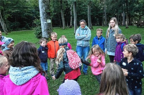 Den Fledermäusen auf der Spur