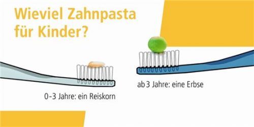 Für Kinder genügen geringe Mengen an Zahnpasta. Bei Kleinkindern ist der Anhaltspunkt die Größe eines Reiskorns. Kinder ab drei Jahren sollten eine erbsegroße Menge Zahnpasta benutzen. Fotos prodente e.V.