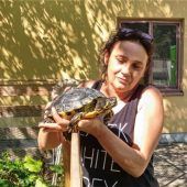 Schildkröten auf Expansionskurs