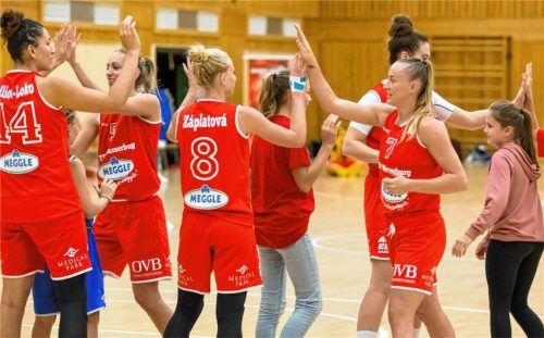 Nachwuchsspieler des TSV in einer Staffel mit den Vorbildern bei der Teamvorstellung.