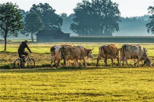 ’Naus auf d’Wiesn ...