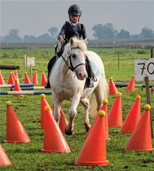 Ob jung oder erfahren, ob beim Geschicklichkeitsreiten oder beim Hindernisfahren: Die Teilnehmer zeigten beim Reiter- und Fahrerfest der Pferdefreunde Aschau ansprechende Leistungen.Foto  re