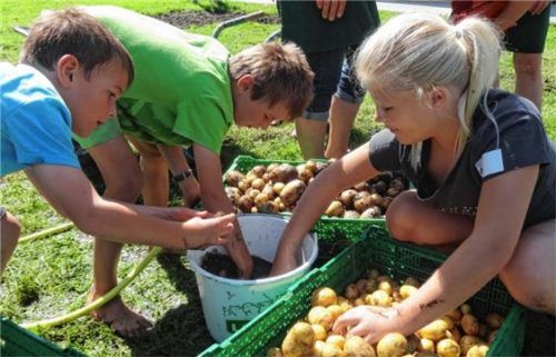 Ringelblumensalbe und Gartenbuffet