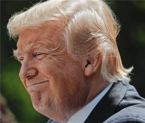 US-Präsident Donald Trump. Foto dpa