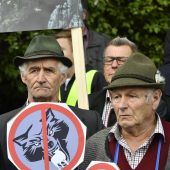 Almbauern fordern „wolfsfreie Zonen“