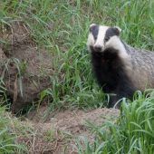 Tief in die Erde hinein