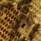 Baumaterial aus dem Popo