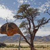 Alle unter einem Dach