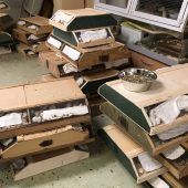 Schmuggel mit 7000 Kleintieren