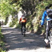 „Die Aura der Alpen geht verloren“