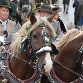 Reiter trotzten dem Wetter