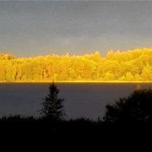 Lichtspiele am Pelhamer See