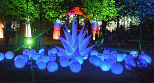 Der richtige Weg: Veranstaltungen wie die „Rosigen Zeiten“ verbinden Erlebnis-Charakter mit Einkaufsmöglichkeiten. Foto Schlecker