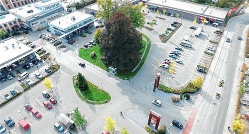 Auf der Grünfläche inmitten des Spinnerei-Parkplatzes steht bereits eine geschätzt 120 Jahre alte Blutbuche (Mitte). Dort sollen nun die Ersatzpflanzungen vorgenommen werden; drei Bäume auf der Grünfläche, der Japanische Schnurbaum auf der kleineren Fläche (unten) neben dem „Weihnachtsbaum“.Foto Re