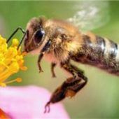 Kein isoliertes Problem