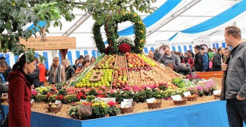 Bunt, vielfältig und schmackhaft: die Apfelpyramide, quasi das Herz des Bad Feilnbacher Apfelmarktes.Fotos strim