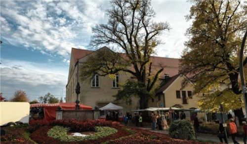 Der Allerseelenmarkt findet auf dem Marktplatz und am Marktplatzberg statt.