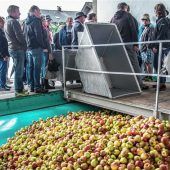 „Wir bitten alle, ihre Früchte zu ernten“