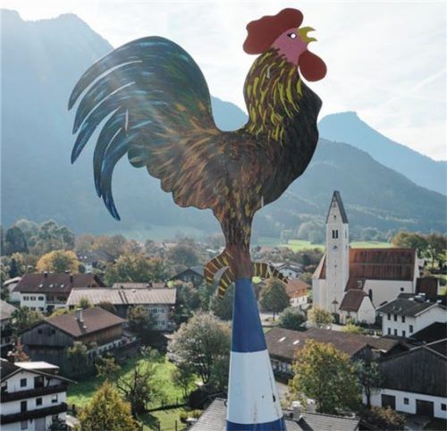 Es hat sich ausgekräht