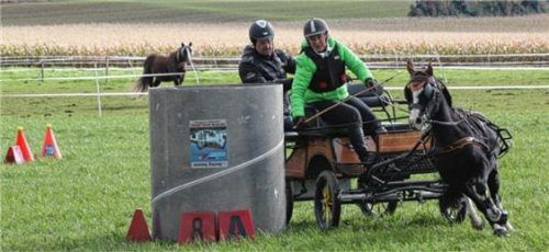 Mensch, Pferd und Kutsche in Schräglage: Bestzeiten konnten beim Geschicklichkeitswettbewerb mit Geländehindernissen nur im perfekten Zusammenspiel des gesamten Gespanns erzielt werden.Foto Kamhuber
