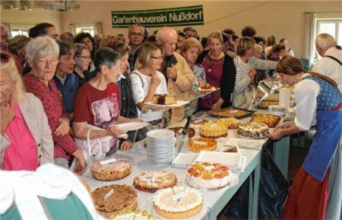 Run auf das Apfelkuchenbuffet