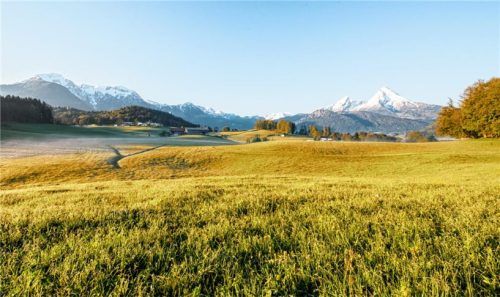 Unberührte Natur – geht es nach der Molkerei Berchtesgadener Land und der MVS Milchvermarktung, würde kein Landwirt mehr chemische Herbizide verwenden.