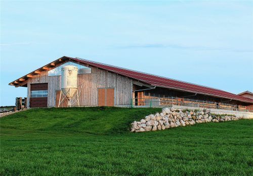 75 Meter lang ist der Laufstall für 120 Milchkühe, der am Sonntag, 19. November, 11 Uhr, den kirchlichen Segen erhält. Die Familie Scheck hat den Stall zum großen Teil in Eigenleistung erbaut.