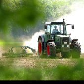 Mitgestalten statt Sündenböcke suchen