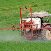 Giftige Pestizid-Debatte